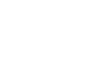 info.mangoflows.com